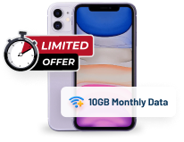 SectionCountDownPhone