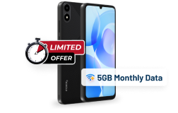 SectionCountDownPhone